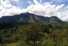 Gunung Pelatang Pesona Tersembunyi Sulawesi Gunung Pelatang