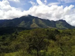 Gunung Pelatang Pesona Tersembunyi Sulawesi Gunung Pelatang