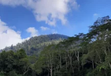 Gunung Pohen