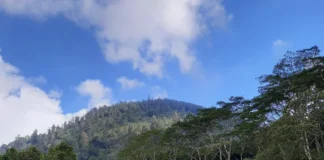 Gunung Pohen