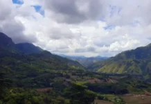 Gunung Rantekombola Petualangan Eksotis di Sulawesi Gunung Rantekombola