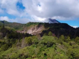 Gunung Rindengan Pesona Alam Sulawesi yang Menakjubkan Gunung Rindengan