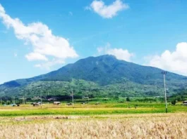 Gunung Simbalang Panduan Lengkap untuk Pendakian Gunung Simbalang