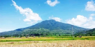 Gunung Simbalang