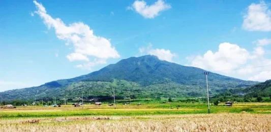 Gunung Simbalang Panduan Lengkap untuk Pendakian Gunung Simbalang