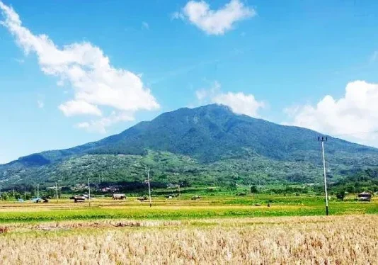 Gunung Simbalang Panduan Lengkap untuk Pendakian Gunung Simbalang