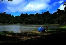 Gunung Tampusu Pesona Alam Sulawesi yang Menakjubkan Gunung Tampusu