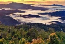 Gunung Tolinggula Permata Tersembunyi di Gorontalo Gunung Tolinggula