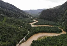 Gunung Tonggo Permata Tersembunyi di Sulawesi Gunung Tonggo