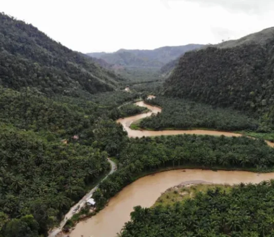 Gunung Tonggo Permata Tersembunyi di Sulawesi Gunung Tonggo