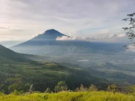 Gunung Umsini Keindahan Alam Papua yang Tersembunyi Gunung Umsini