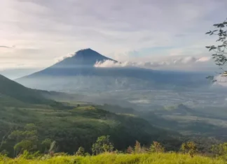 Gunung Umsini Keindahan Alam Papua yang Tersembunyi Gunung Umsini