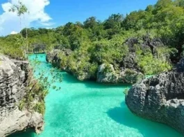 Pegunungan Fakfak Surga Tersembunyi di Papua Pegunungan Fakfak