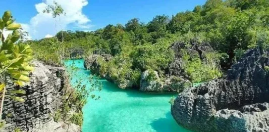Pegunungan Fakfak Surga Tersembunyi di Papua Pegunungan Fakfak