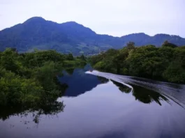 Pesona Pegunungan Kapuas Hulu Keindahan Kalimantan Barat Pegunungan Kapuas Hulu