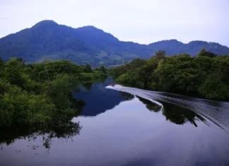 Pesona Pegunungan Kapuas Hulu Keindahan Kalimantan Barat Pegunungan Kapuas Hulu