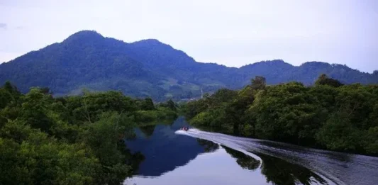 Pesona Pegunungan Kapuas Hulu Keindahan Kalimantan Barat Pegunungan Kapuas Hulu