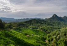 Pegunungan Meratus Keindahan Alam di Kalimantan Pegunungan Meratus
