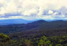 Pegunungan Muller Keajaiban Tersembunyi di Kalimantan Pegunungan Muller