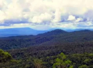 Pegunungan Muller Keajaiban Tersembunyi di Kalimantan Pegunungan Muller