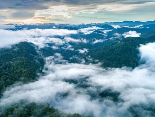 Pegunungan Tamrau Keindahan Petualangan di Atas Awan Pegunungan Tamrau